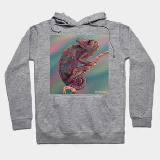 Chameleon Hoodie